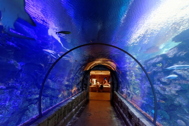Wasser-Tunnel